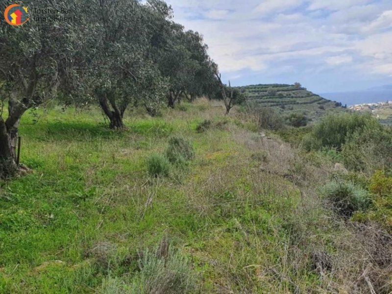 Pitsidia Süd Kreta, Pitsida Baugrundstück mit Meerblick ca.5500m² Grundstück kaufen